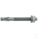 Ankerbout / Keilbout FBNII M12/100 RVS A4 