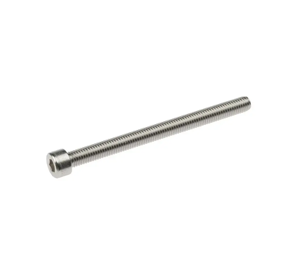 Inbusbout RVS M8 x 100 mm voor hoekpaal tot 60 mm 